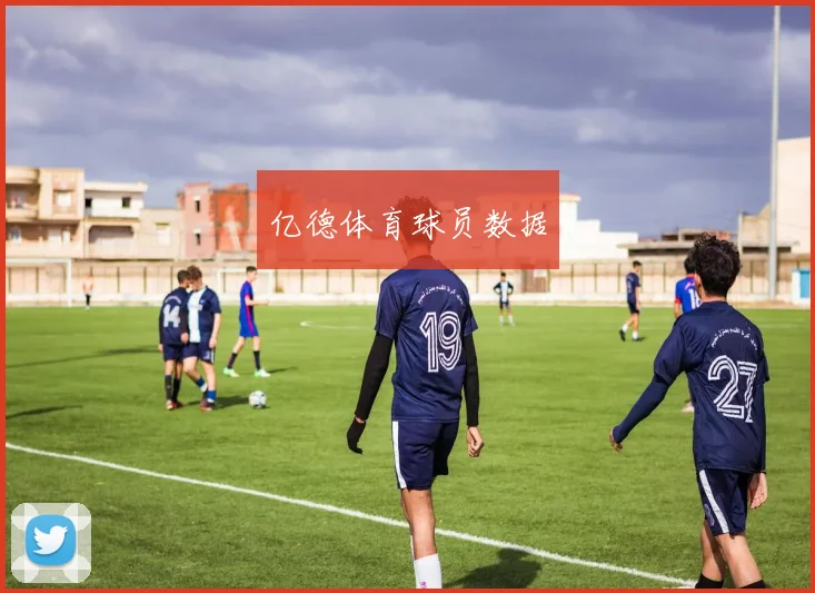 亿德体育球员数据