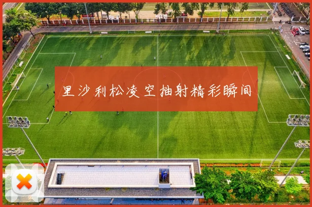 里沙利松凌空抽射精彩瞬间