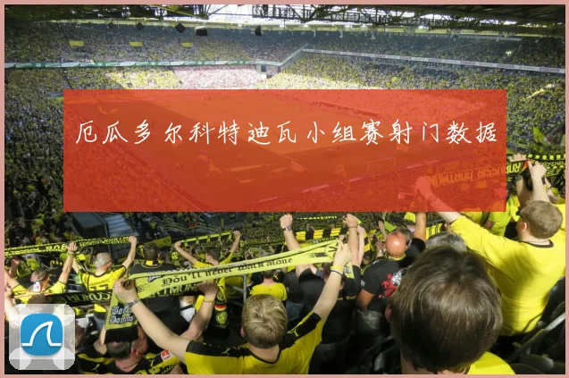 厄瓜多尔科特迪瓦小组赛射门数据