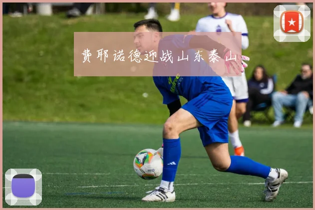 费耶诺德迎战山东泰山