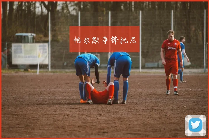 帕尔默争锋托尼