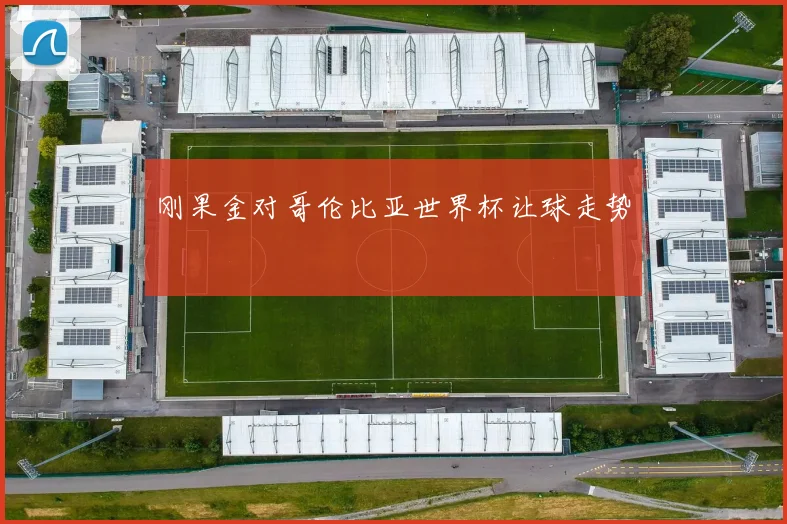 刚果金对哥伦比亚世界杯让球走势
