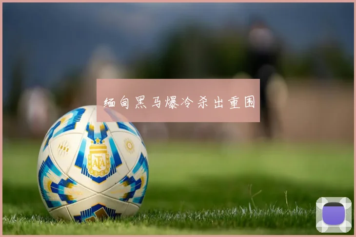 缅甸黑马爆冷杀出重围