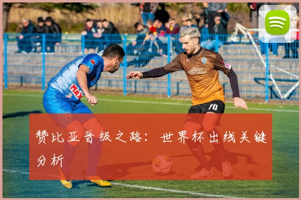 赞比亚晋级之路：世界杯出线关键分析