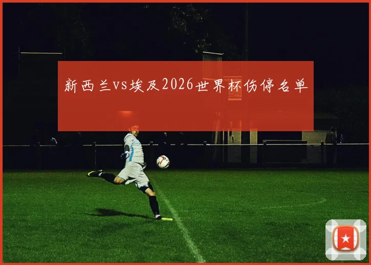 新西兰vs埃及2026世界杯伤停名单