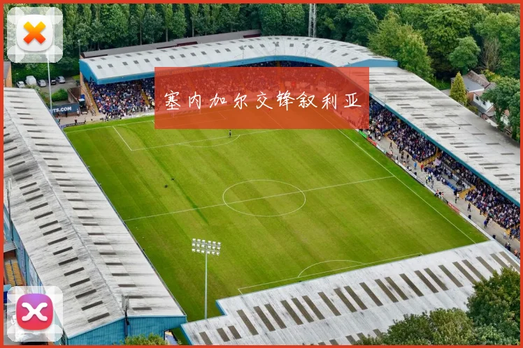 塞内加尔交锋叙利亚