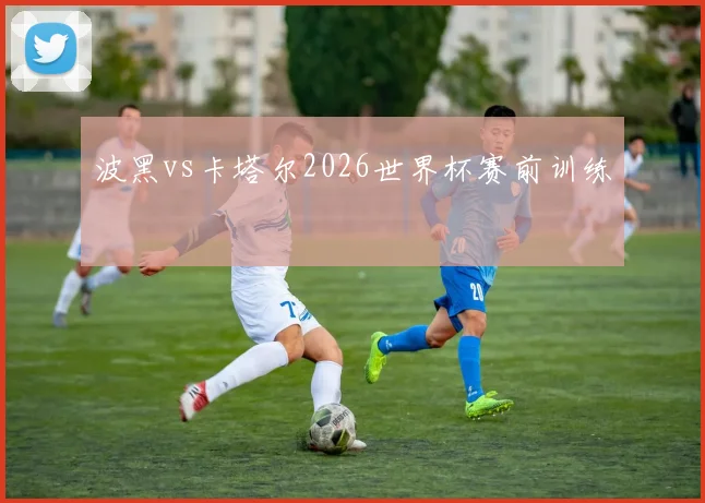 波黑vs卡塔尔2026世界杯赛前训练