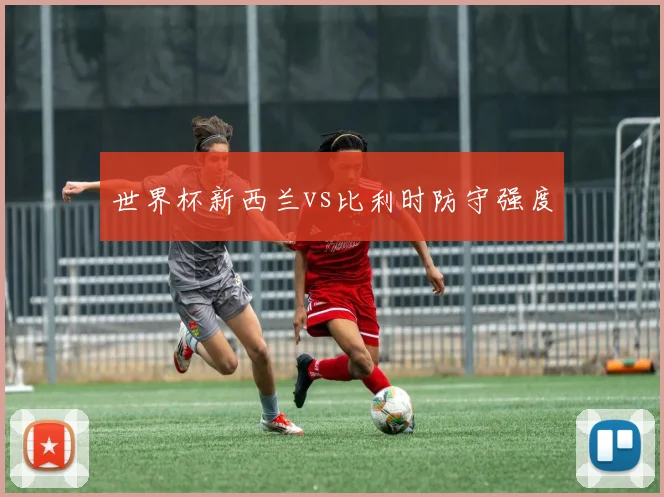 世界杯新西兰vs比利时防守强度