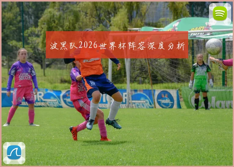 波黑队2026世界杯阵容深度分析