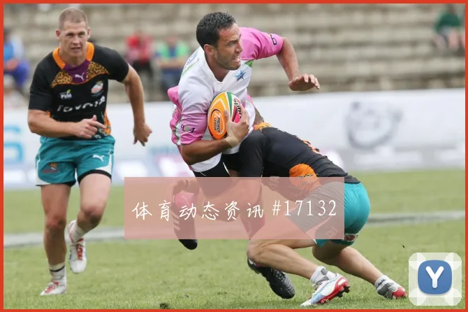 2026世界杯瑞典vs荷兰传控比例